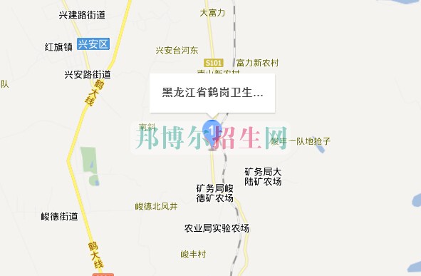 黑龍江省鶴崗衛(wèi)生學校