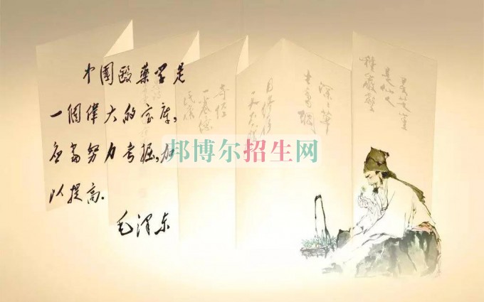 高中沒畢業(yè)可以學(xué)中醫(yī)學(xué)嗎