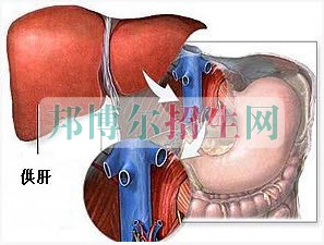 成都麻醉學(xué)大專有哪些