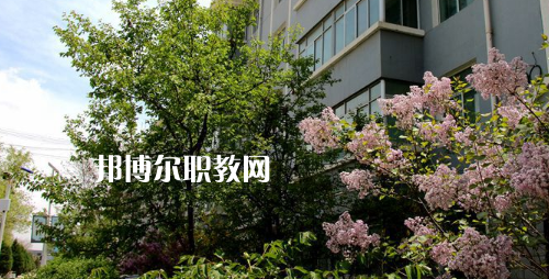 蘭州科技職業(yè)學院2021年有哪些專業(yè)