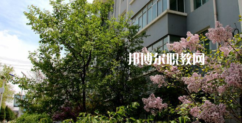 蘭州科技職業(yè)學(xué)院2021年招生辦聯(lián)系電話